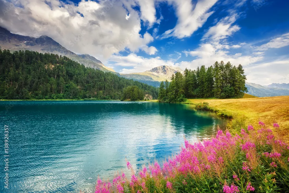 Obraz Cudowne Alpejskie Jezioro w Otoczeniu Górskiej Przyrody