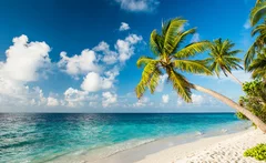 Obraz Rajska Plaża pod Palmami