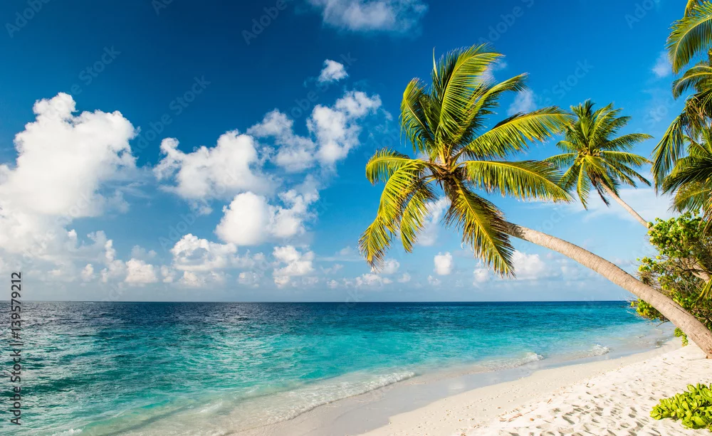 Obraz Rajska Plaża pod Palmami