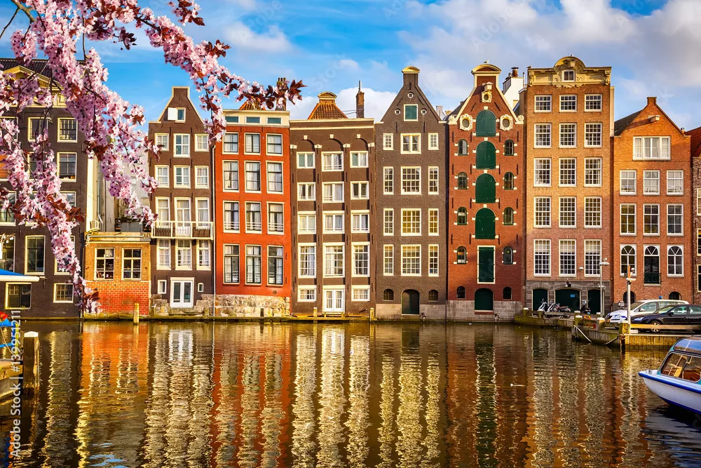 Fototapeta Tradycyjne stare budynki w Amsterdamie na wiosnę, w Holandii