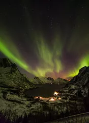 Fototapeta Zorza polarna (zorza polarna) nad górami na północy Europy - wyspa Senja, hrabstwo Troms, Norwegia