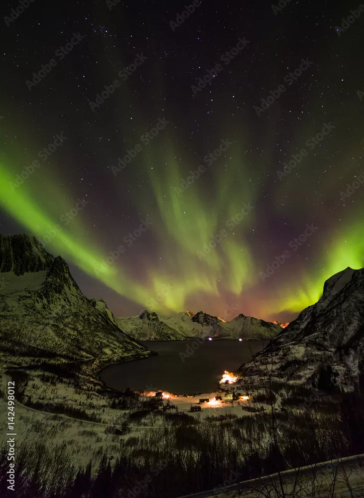 Fototapeta Zorza polarna (zorza polarna) nad górami na północy Europy - wyspa Senja, hrabstwo Troms, Norwegia