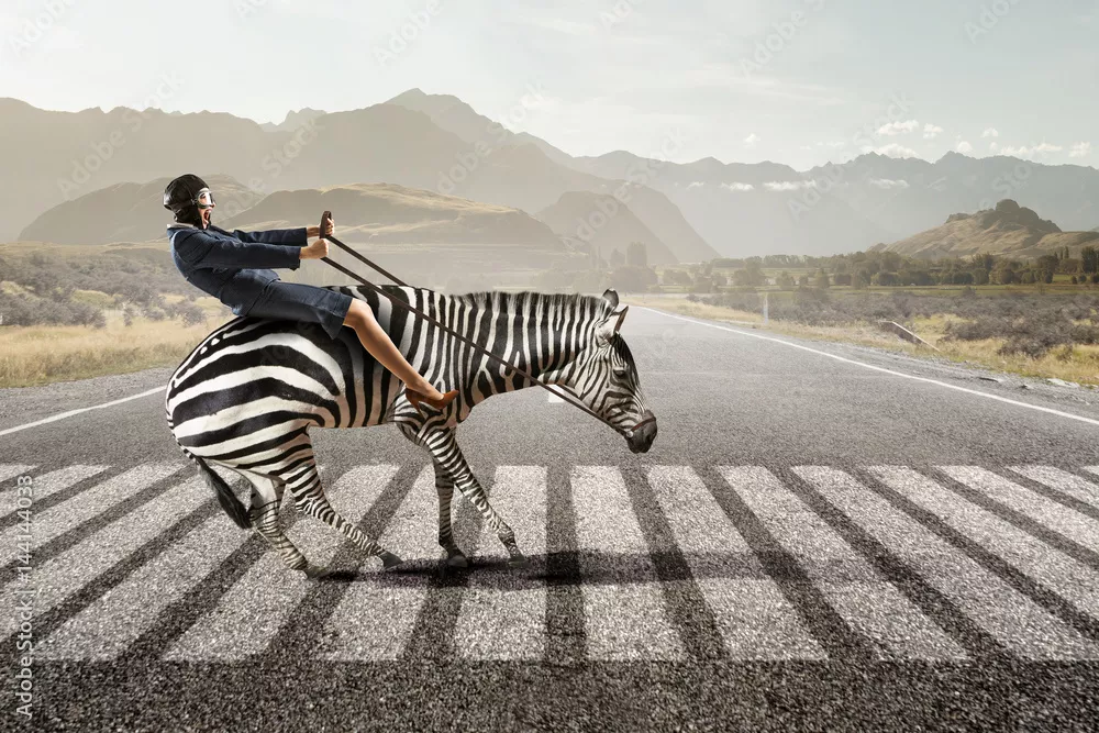 Obraz businesswoman Ride Zebra