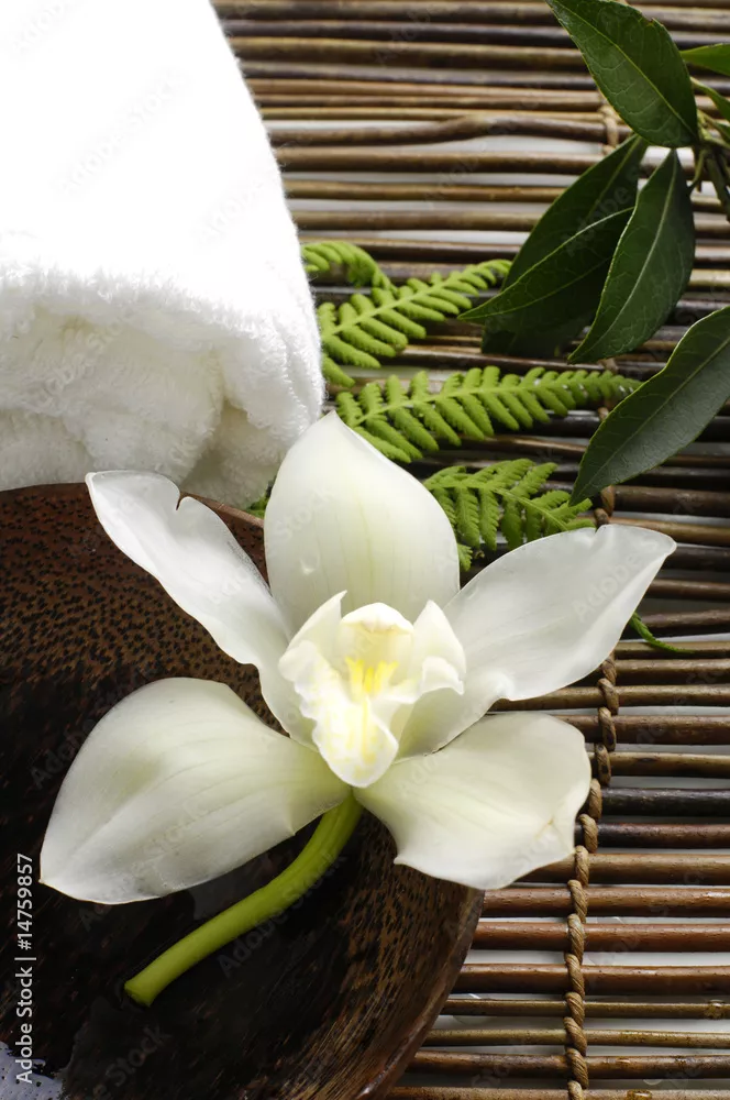 Obraz Biała orchidea w spa