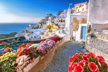 Fototapeta Malowniczy widok na tradycyjne cykladzkie domy na małej uliczce z kwiatami na pierwszym planie, wieś Oia, Santorini, Grecja. Punkt widokowy zachodu słońca. Tło wakacje.
