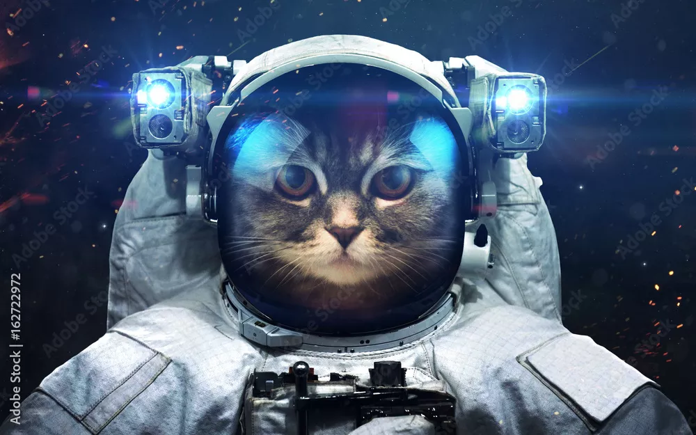 Obraz Kosmiczna tapeta science fiction z kotem astronautą, niesamowicie pięknymi planetami, galaktykami, mrocznym i zimnym pięknem nieskończonego wszechświata. Elementy tego obrazu dostarczone przez NASA