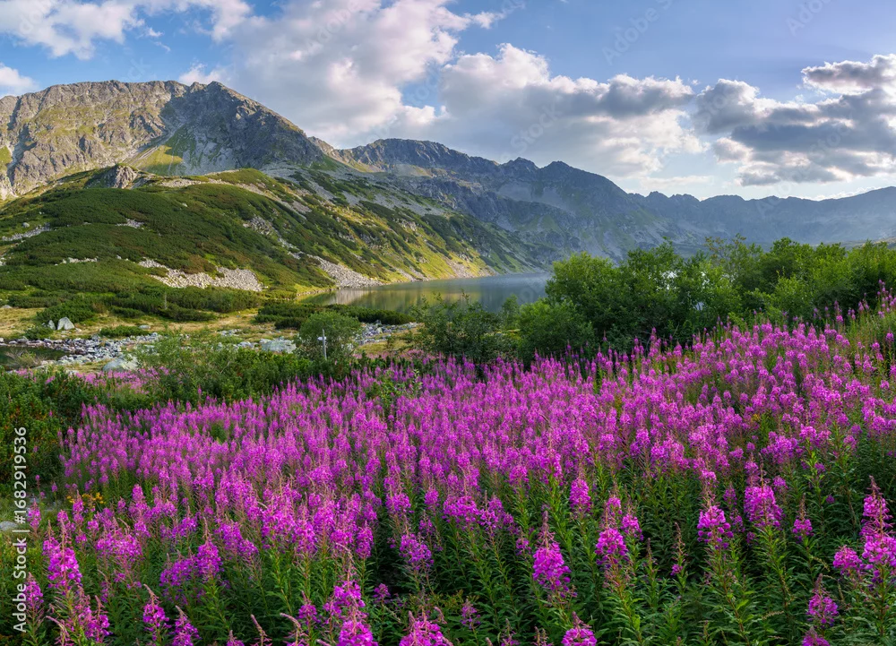 Fototapeta Górska Panorama z Kwiatami: Czar Natury