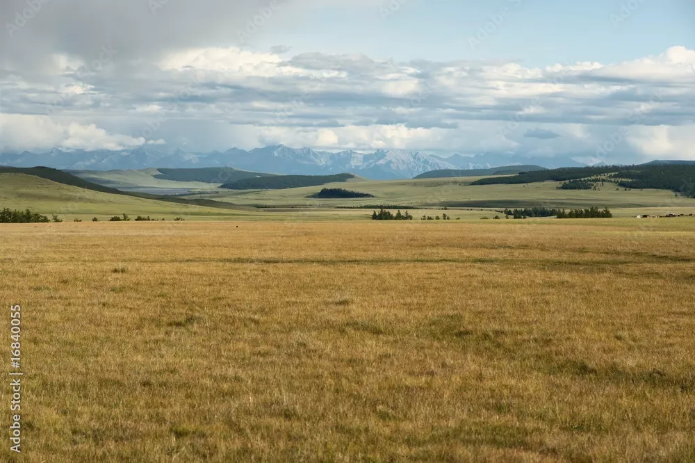 Fototapeta Mongolia