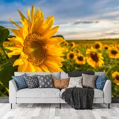 Obraz na płótnie w salonie