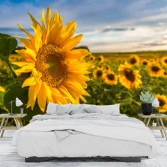 Obraz na płótnie w sypialni