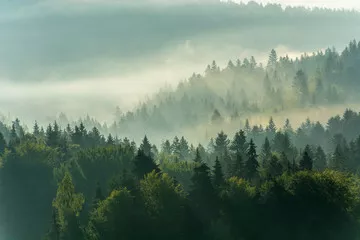 Fototapeta Wschód słońca ,Jaworzyna Krynicka,Beskid Sądecki,małopolska.