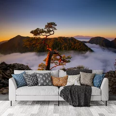 Obraz na płótnie w salonie