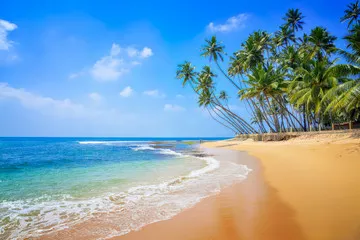 Fototapeta Dziewicza piękna plaża nad Oceanem Indyjskim