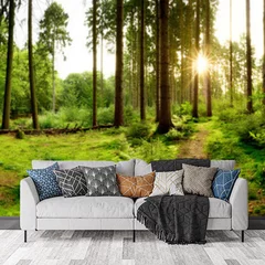 Obraz na płótnie w salonie