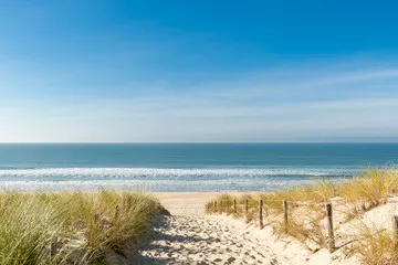 Obraz ścieżka prowadząca przez wydmy do spokojnego, błękitnego oceanu