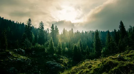 Fototapeta Piękno podróży