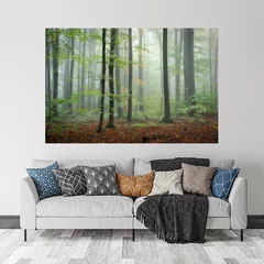 Obraz na płótnie w salonie