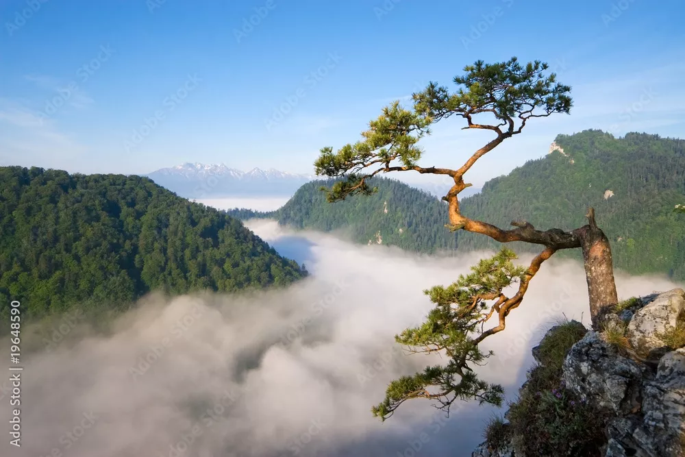 Fototapeta Sokolica Peak in Pieniny, Poland