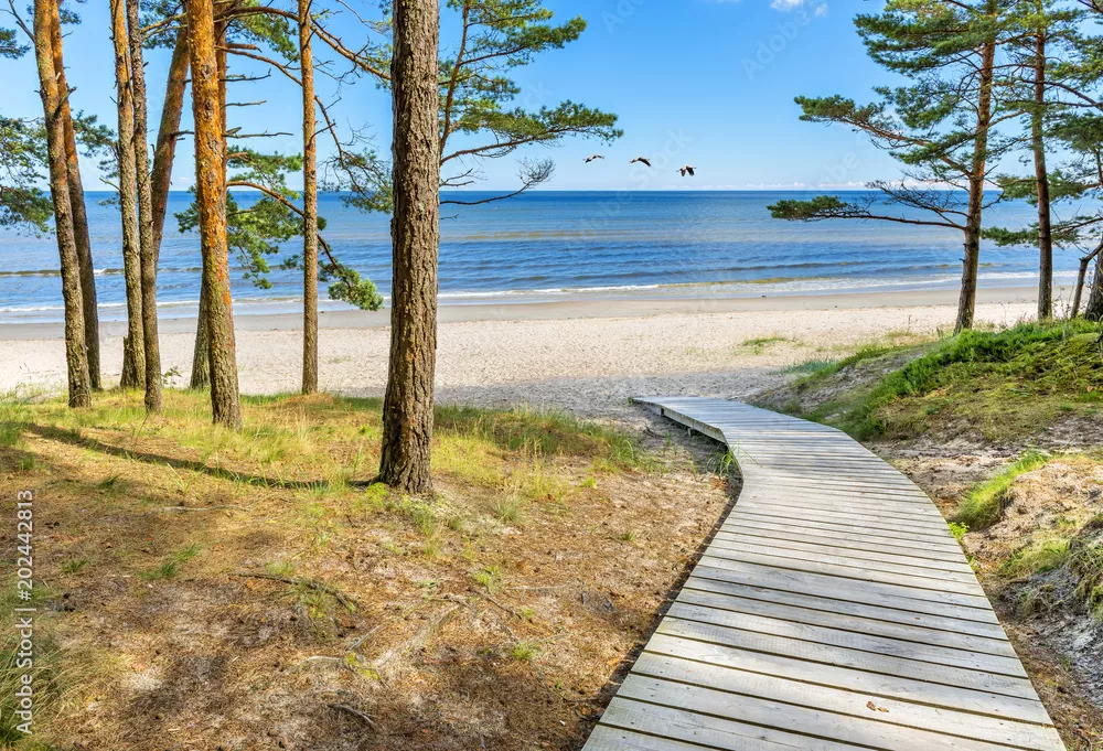 Fototapeta Nadmorski krajobraz z sosnami, wydmami i ścieżką do piaszczystej plaży, Baltic Seat. W krajach bałtyckich turystyka ukierunkowana jest głównie na utrzymanie zdrowia ludzi.