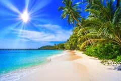 Obraz Rajska Tropikalna Plaża