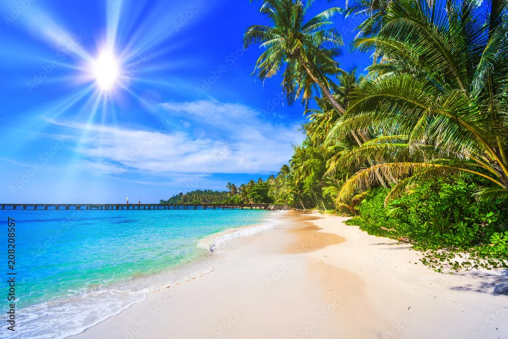 Obraz Rajska Tropikalna Plaża