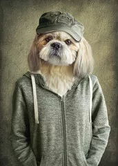 Obraz Pies w Ubraniu Wojskowym: Stylowy Portret