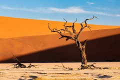 Obraz Magiczny Krajobraz Pustynny: Ostoja Spokoju w Deadvlei