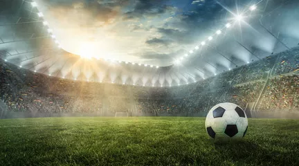 Fototapeta Piłka leży na trawie na stadionie piłkarskim