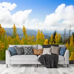 Obraz na płótnie w salonie