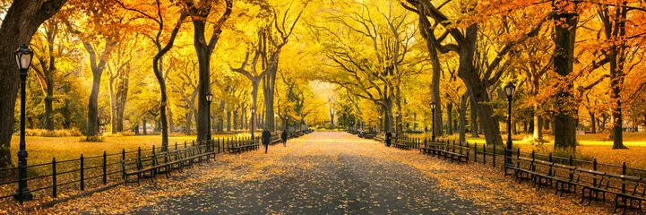 Fototapeta Herbst Panorama w Central Parku w Nowym Jorku, USA