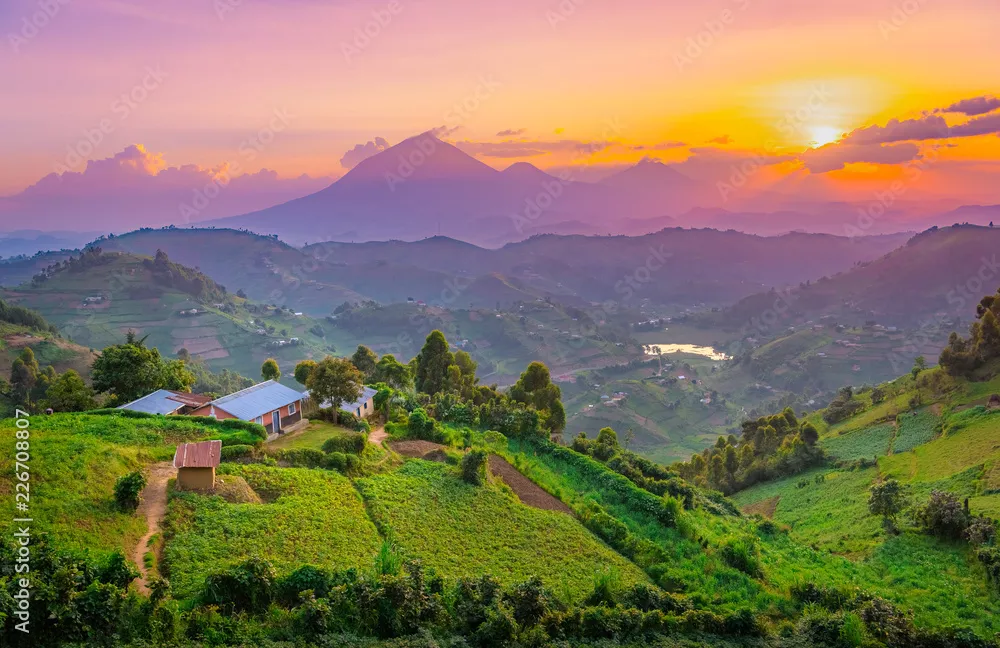 Fototapeta Kisoro Uganda piękny zachód słońca nad górami i wzgórzami pastwisk i farm w wioskach Ugandy. Niesamowite kolorowe niebo i niesamowity krajobraz, aby podróżować i podziwiać piękno przyrody w Afryce