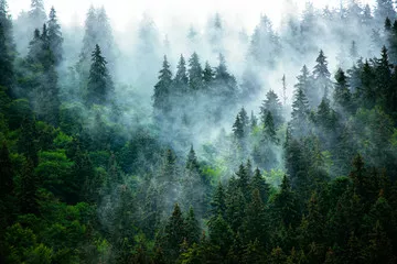 Obraz misty górski krajobraz