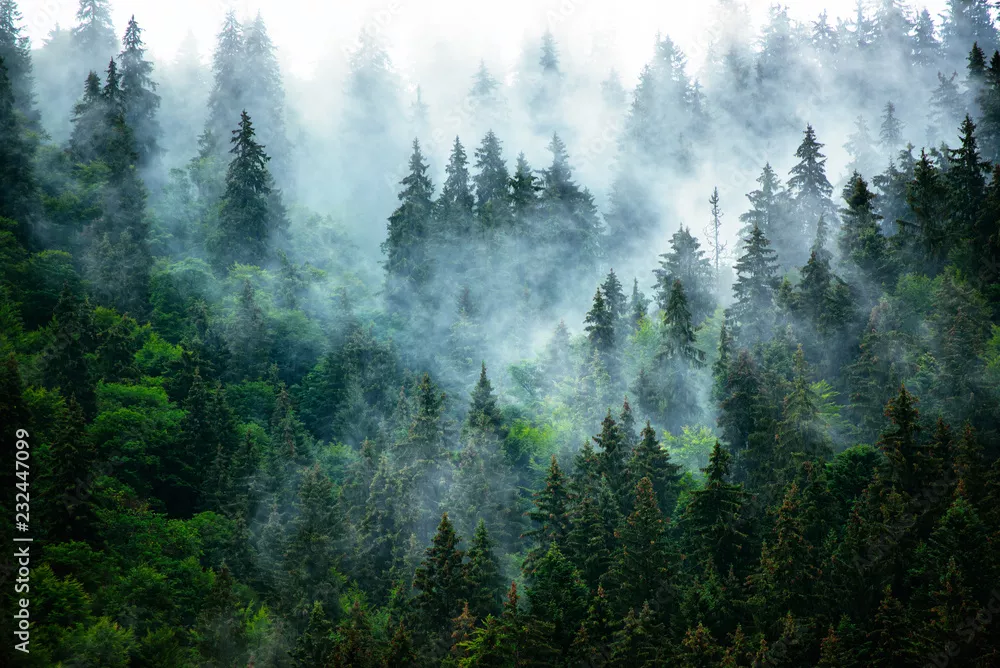 Obraz misty górski krajobraz