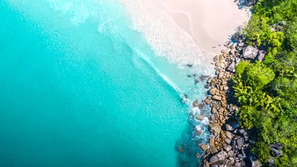 Fototapeta Tropikalna plaża z morzem i palmami pobranymi z drona. Słynna plaża rekinów na Seszelach - zdjęcie lotnicze