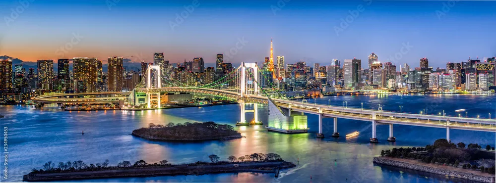 Fototapeta Magiczny Widok na Nocne Tokio: Panorama z Mostem Tęczowym