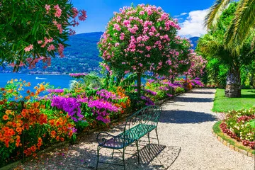 Fototapeta Lago Maggiore - piękna \