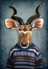 Obraz Stylowy Kudu w Swetrze
