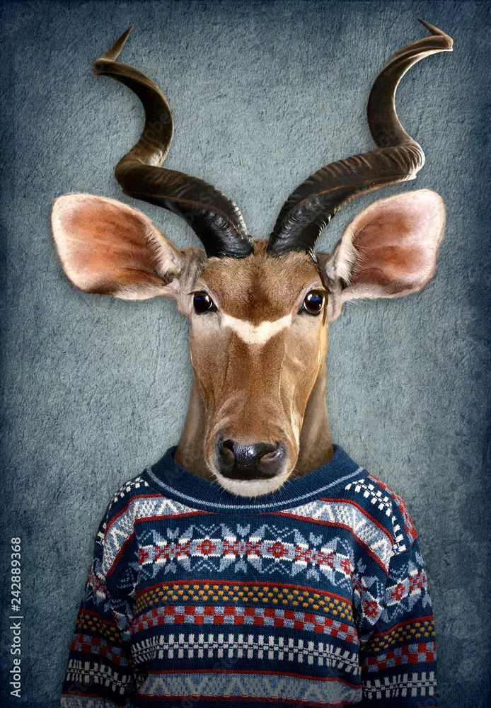 Obraz Stylowy Kudu w Swetrze
