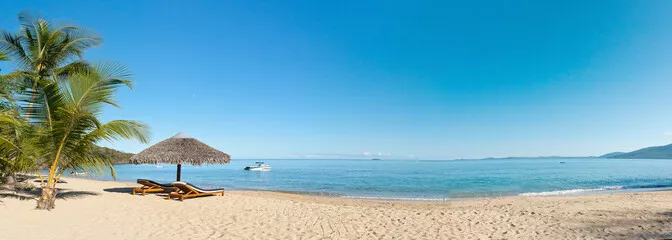 Obraz Rajska Plaża z Palmą i Błękitnym Morzem