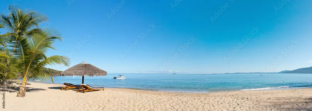Obraz Rajska Plaża z Palmą i Błękitnym Morzem