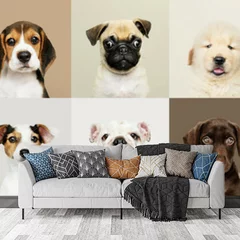 Obraz na płótnie w salonie