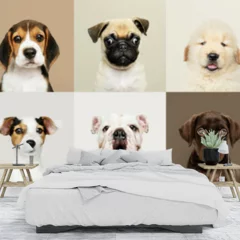 Obraz na płótnie w sypialni