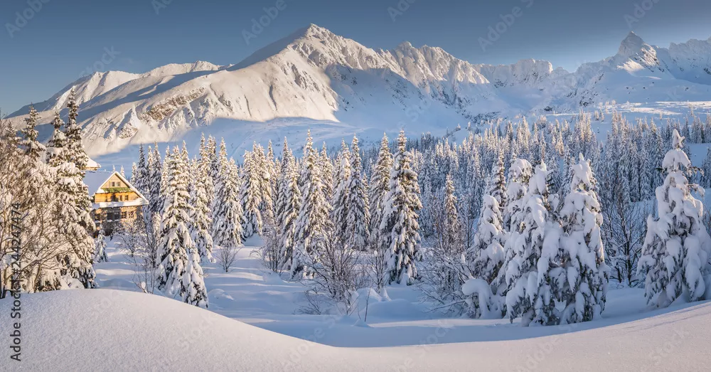 Fototapeta Hala Gasienicowa - Tatry, Winter 01.2019
