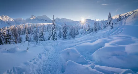 Fototapeta Hala Gąsienicowa – Tatry, zima 01.2019