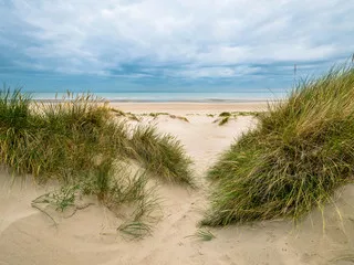 Obraz piaszczysta plaża otoczona bujnymi wydmami