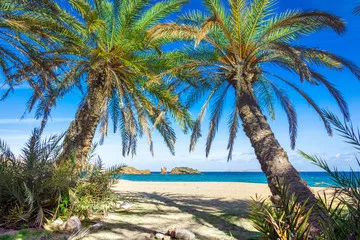 Fototapeta Malowniczy krajobraz palm, turkusowej wody i tropikalnej plaży, Vai, Kreta, Grecja.