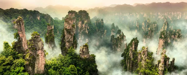 Fototapeta Magiczne Szpice Zhangjiajie: Kraina Ukryta we Mgle