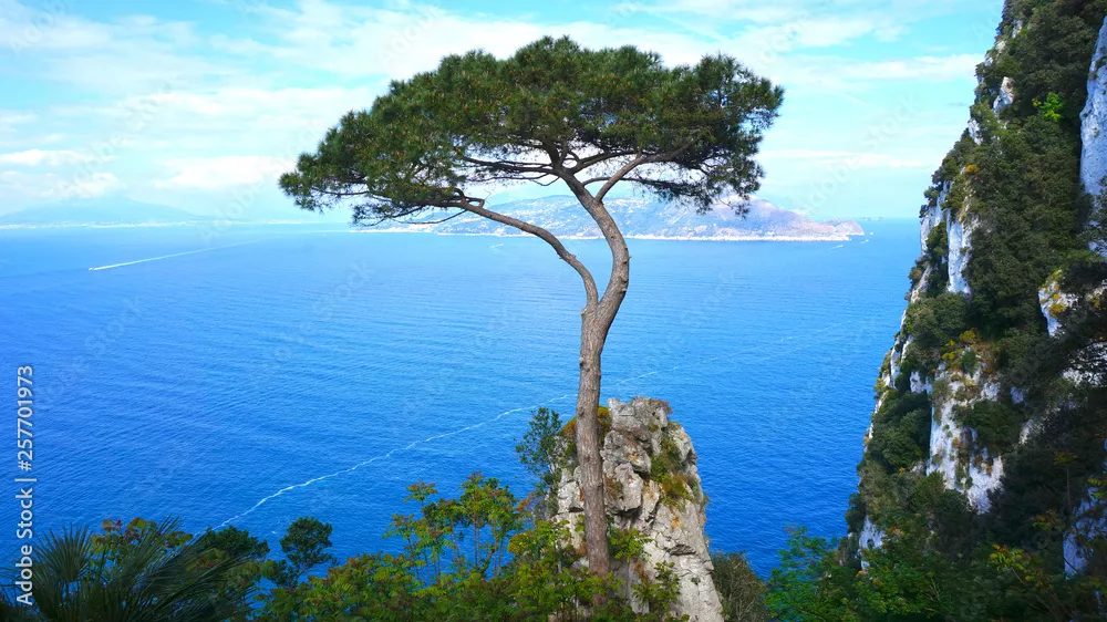 Obraz Malowniczy Widok na Morze z Wyspą Capri