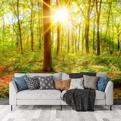 Obraz na płótnie w salonie