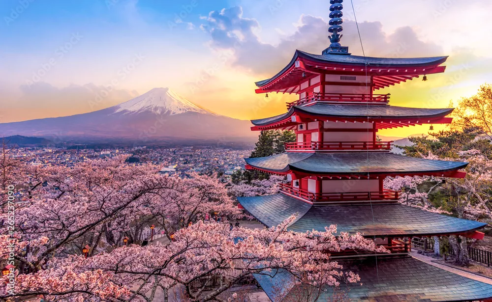 Fototapeta Fujiyoshida, Japonia Piękny widok na górę Fuji i pagodę Chureito o zachodzie słońca, japonia wiosną z kwiatami wiśni